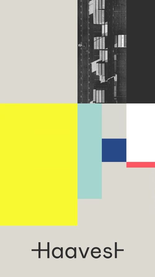 Keyvisual-Animation des neuen Haavest Corporate Designs.