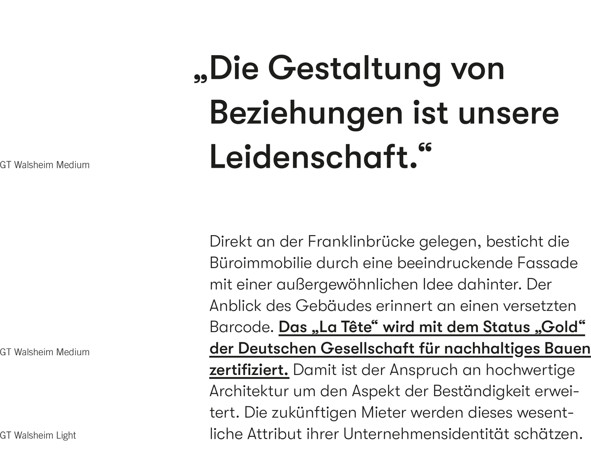 Darstellung der Anteon Hausschrift