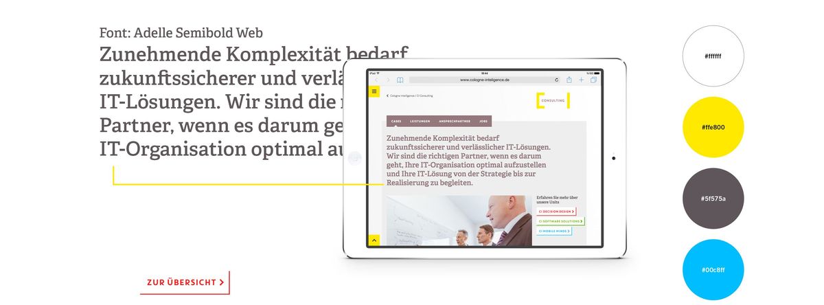 Aufbau eines Cases auf der Website von Cologne Intelligence