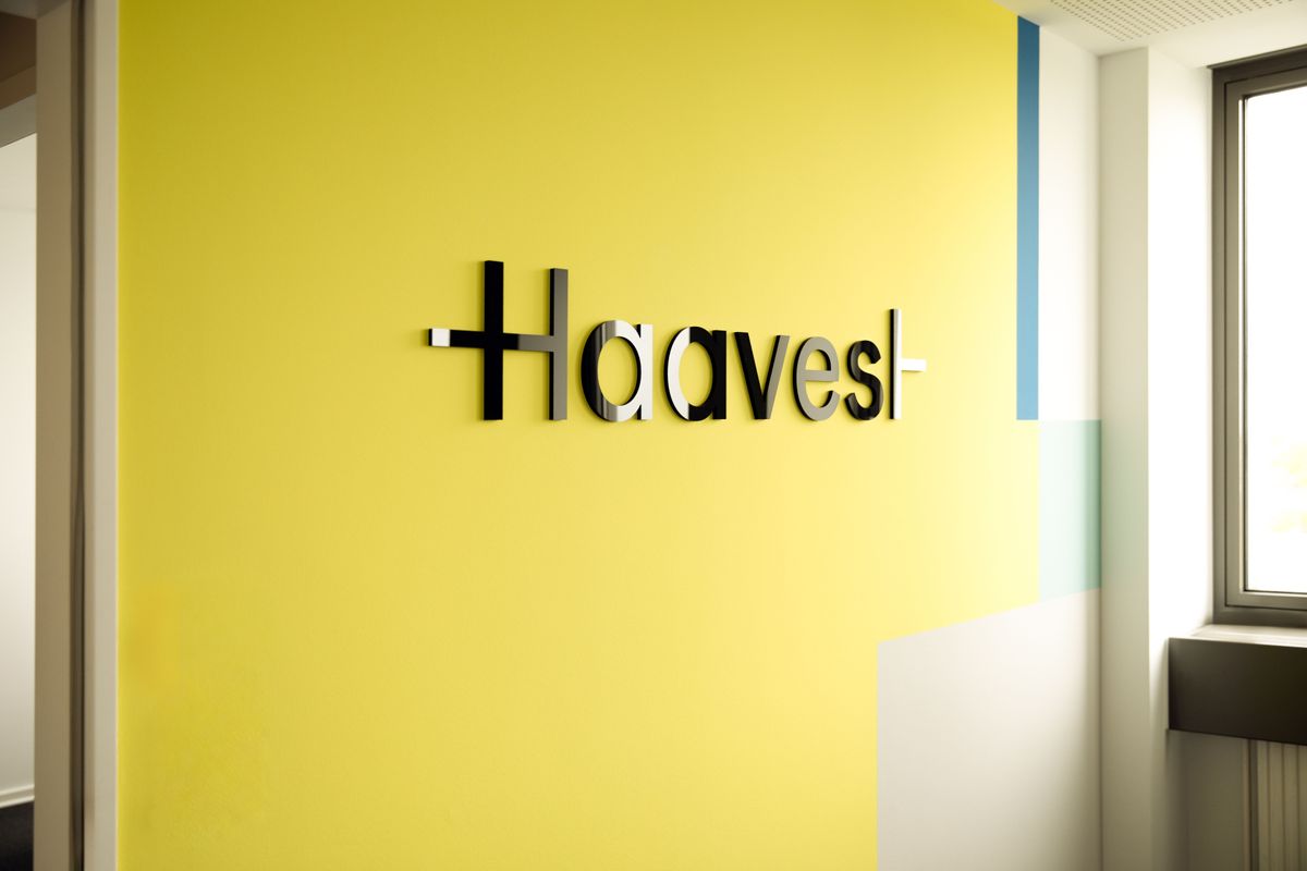 Das Logo setzt einen prägnanten Markenakzent. Haavest Logo als dreidimensionale Wandbeschriftung auf einer gelben Akzentwand.