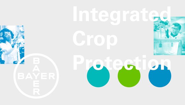 Die Gestaltung definiert die visuelle Grundlage für einen konsistenten Markenauftritt. Visualisierung der Corporate-Design-Elemente von Bayer Crop Science mit Logo, Bildwelt und markentypischen Farben.