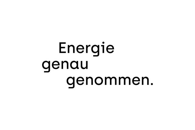 Der Claim von Voltego lautet "Energie genau genommen."