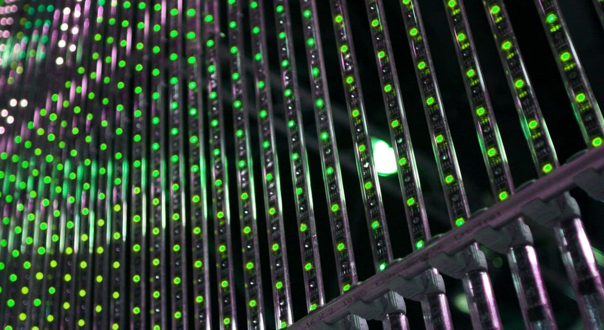 Makroaufnahmen von LEDs als Keyvisual