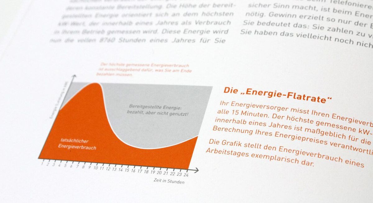 Detailfoto aus der Broschüre zeigt eine Infografik