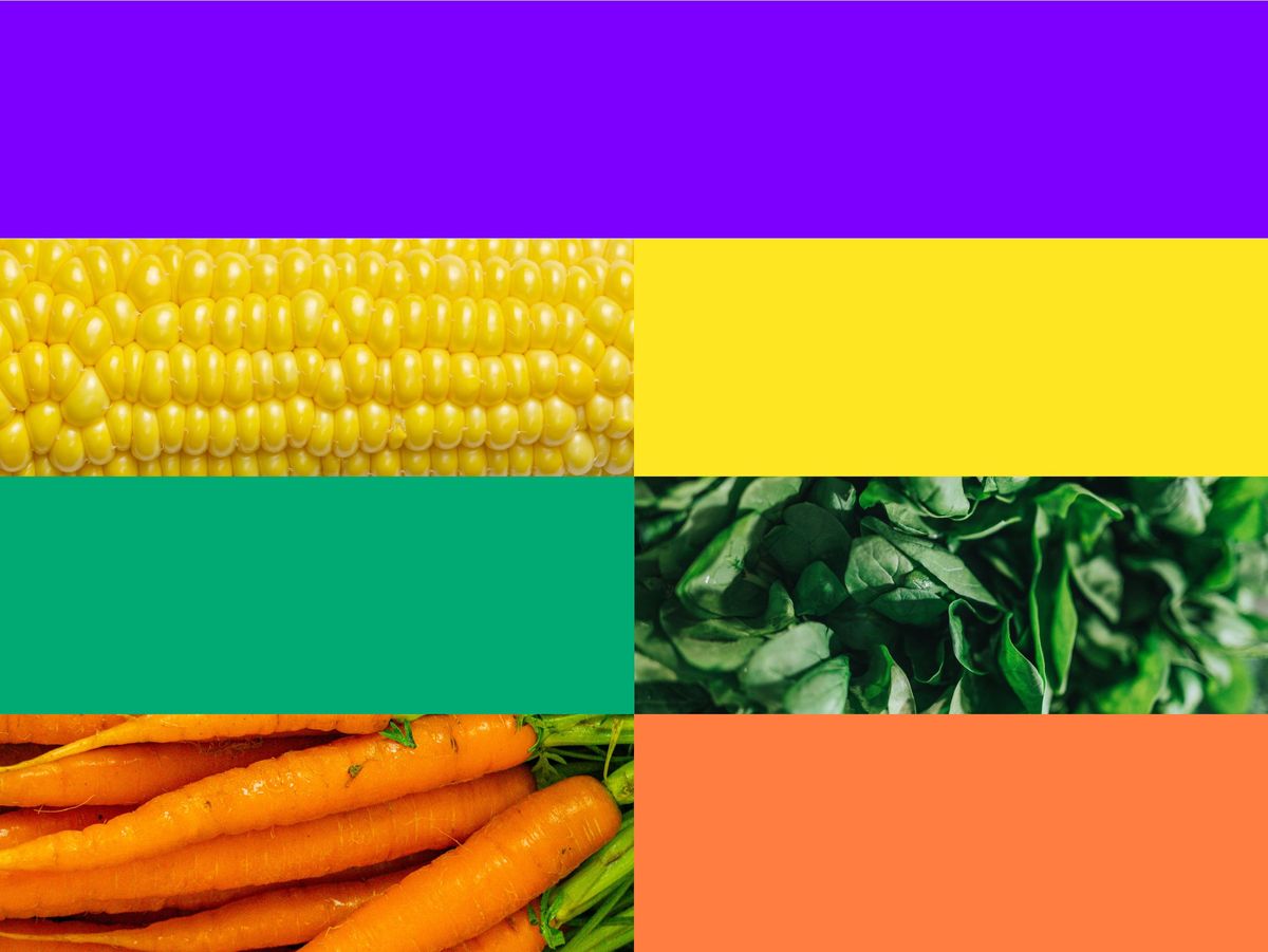 Herleitung der Farbwelt aus den Gemüsesorten Mais, Rucola und Karotte.