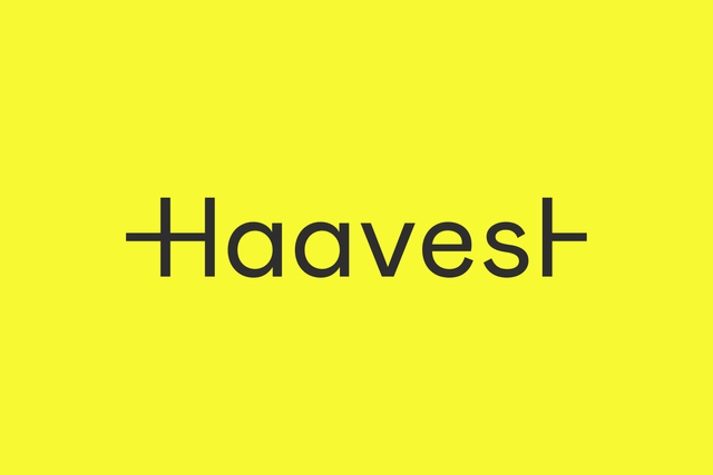 Alessio Analytics mit neuem Markennamen Haavest und Corporate Design